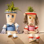 Decorative Planters for Outdoor Plants: 7 Proven Tips to Avoid Costly Mistakes
