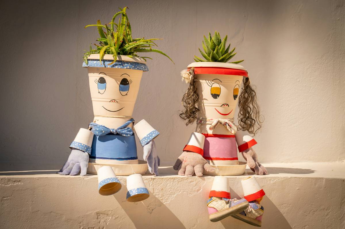 Decorative Planters for Outdoor Plants: 7 Proven Tips to Avoid Costly Mistakes