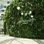 Home Depot Decorative Planters: 7 Proven Tips to Avoid Costly Mistakes