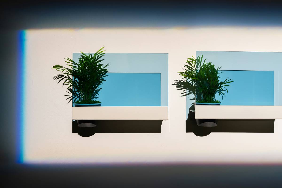 decorative planters for outdoor plants mounted on a sunny exterior wall with trailing succulents and proper drainage holes