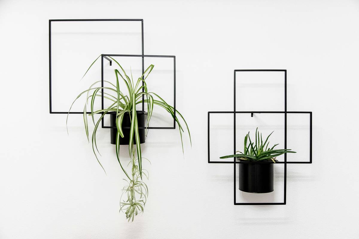 acheter low wall planter mounted horizontally on white-painted brick wall with trailing pothos and compact white ceramic pot, no visible hardware or drip tray