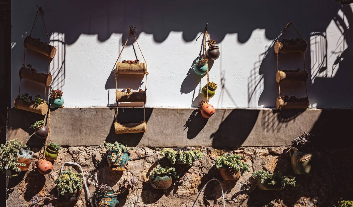wall planters outdoor ideas showing weather-resistant metal wall planters with trailing ivy and succulents mounted on a sunlit stucco exterior