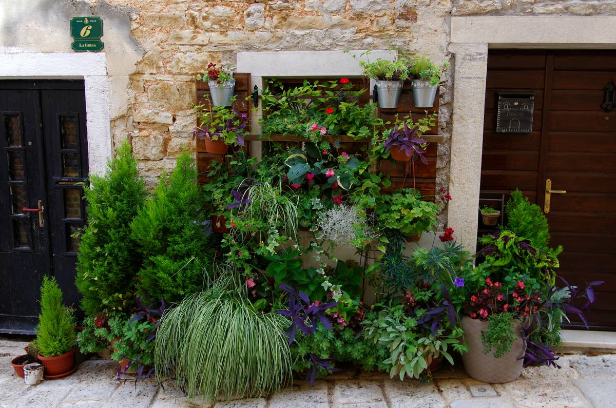 Wall Planters for Outdoors: 7 Proven Tips to Avoid Costly Mistakes