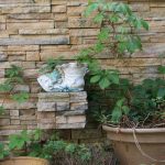 Wall Planters Outdoor Ideas: 7 Proven Ways to Create Stunning, Low-Maintenance Vertical Gardens